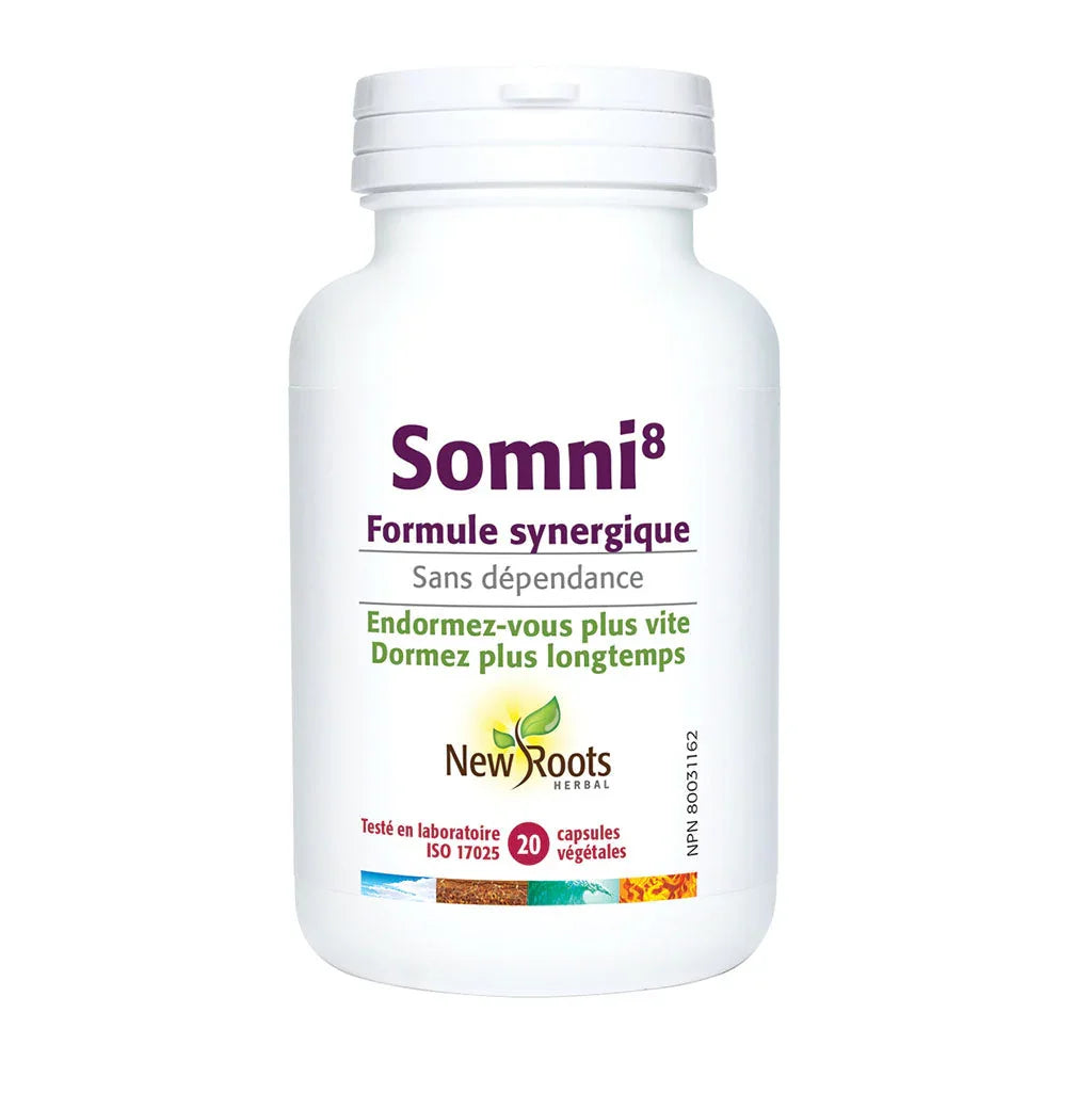 somni8 New Roots - La Boite à Grains