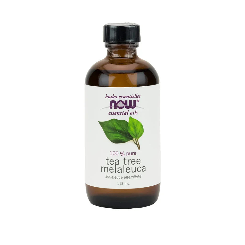 tea tree melaleuca essential oil Now - La Boite à Grains