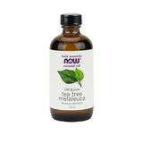 tea tree melaleuca essential oil Now - La Boite à Grains