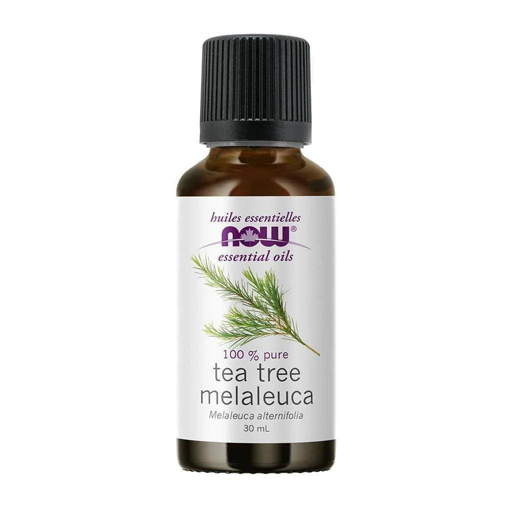 tea tree melaleuca essential oil Now - La Boite à Grains