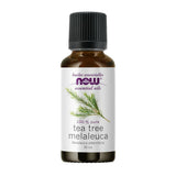 tea tree melaleuca essential oil Now - La Boite à Grains