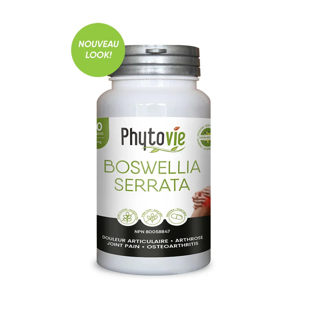 boswellia serrata Phytovie - La Boite à Grains