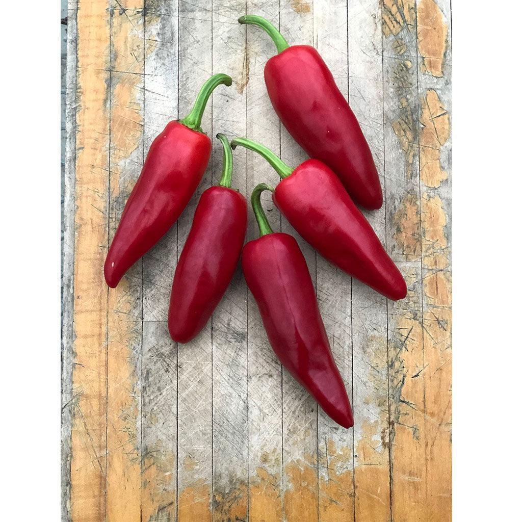 Organic Gorria Pepper Les Jardins de l'Écoumène - La Boite à Grains
