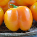 Doe Hill Organic Pepper Les Jardins de l'Écoumène - La Boite à Grains