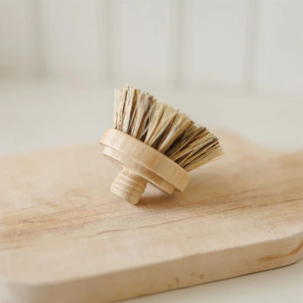 refill head for Pure scrubbing shower head - La Boite à Grains