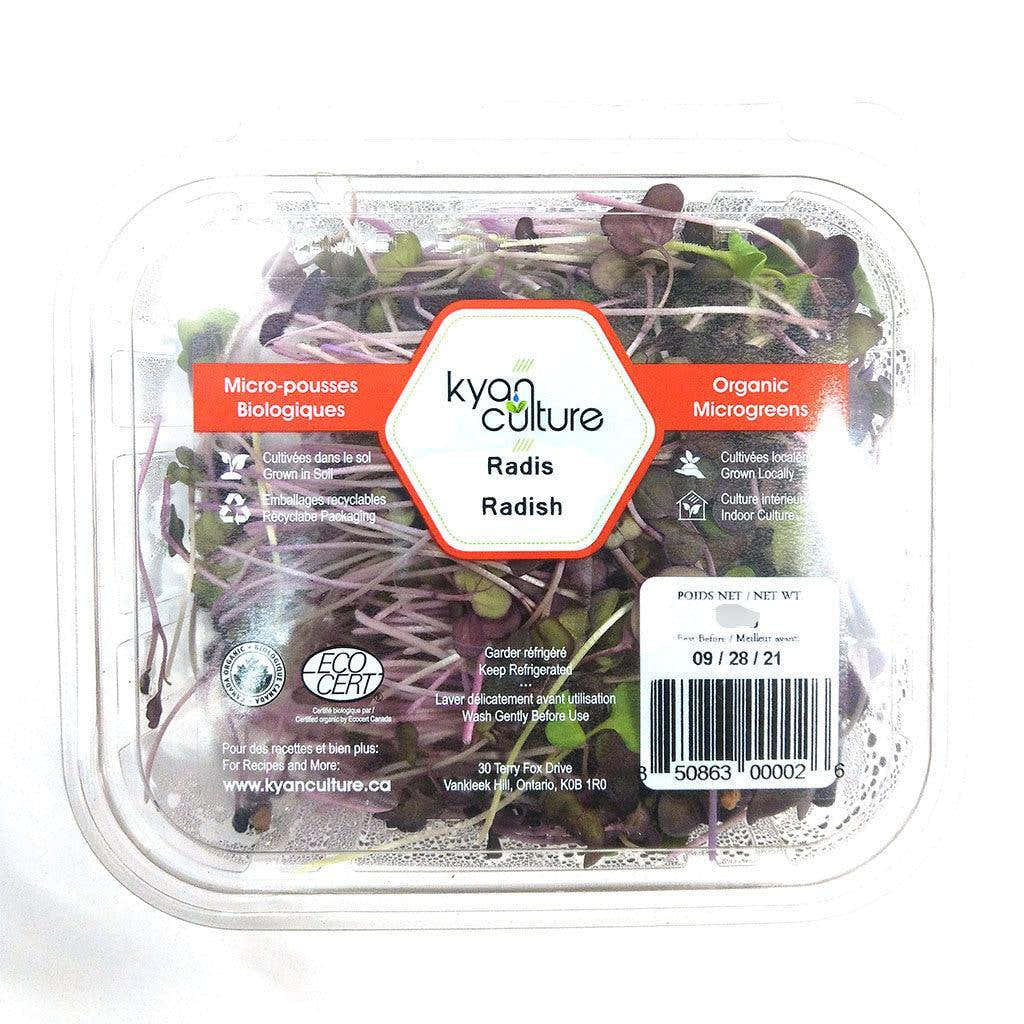 Radis Micro-pousses Biologiques Kyan Culture - La Boite à Grains