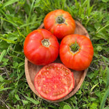 tomato Brandywine Nordic Seeds - La Boite à Grains