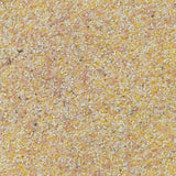 Milanese Organic Corn Semolina - La Boite à Grains