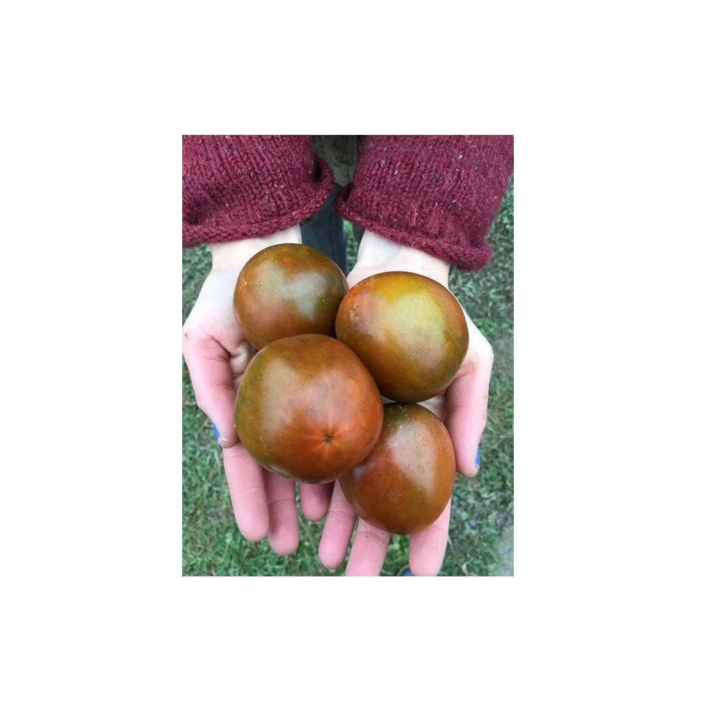 Organic Black Prince Tomato (Seeds) Nordic Seeds - La Boite à Grains