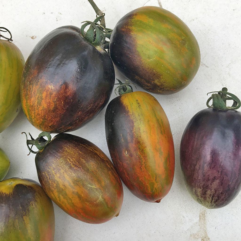 Brad's Atomic Organic Tomato Les Jardins de l'Écoumène - La Boite à Grains