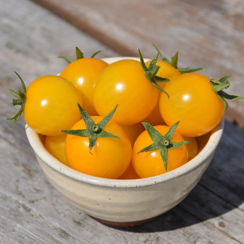 Organic Gold Nugget Tomato Les Jardins de l’Écoumène - La Boite à Grains