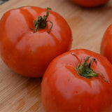 Organic Manitoba Tomato Les Jardins de l’Écoumène - La Boite à Grains