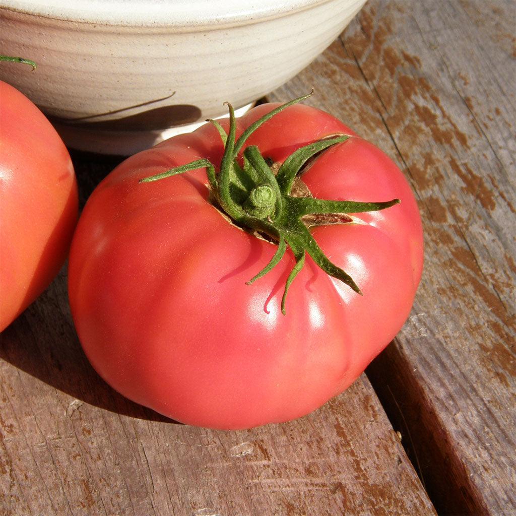 Organic Savignac Tomato Les Jardins de l’Écoumène - La Boite à Grains