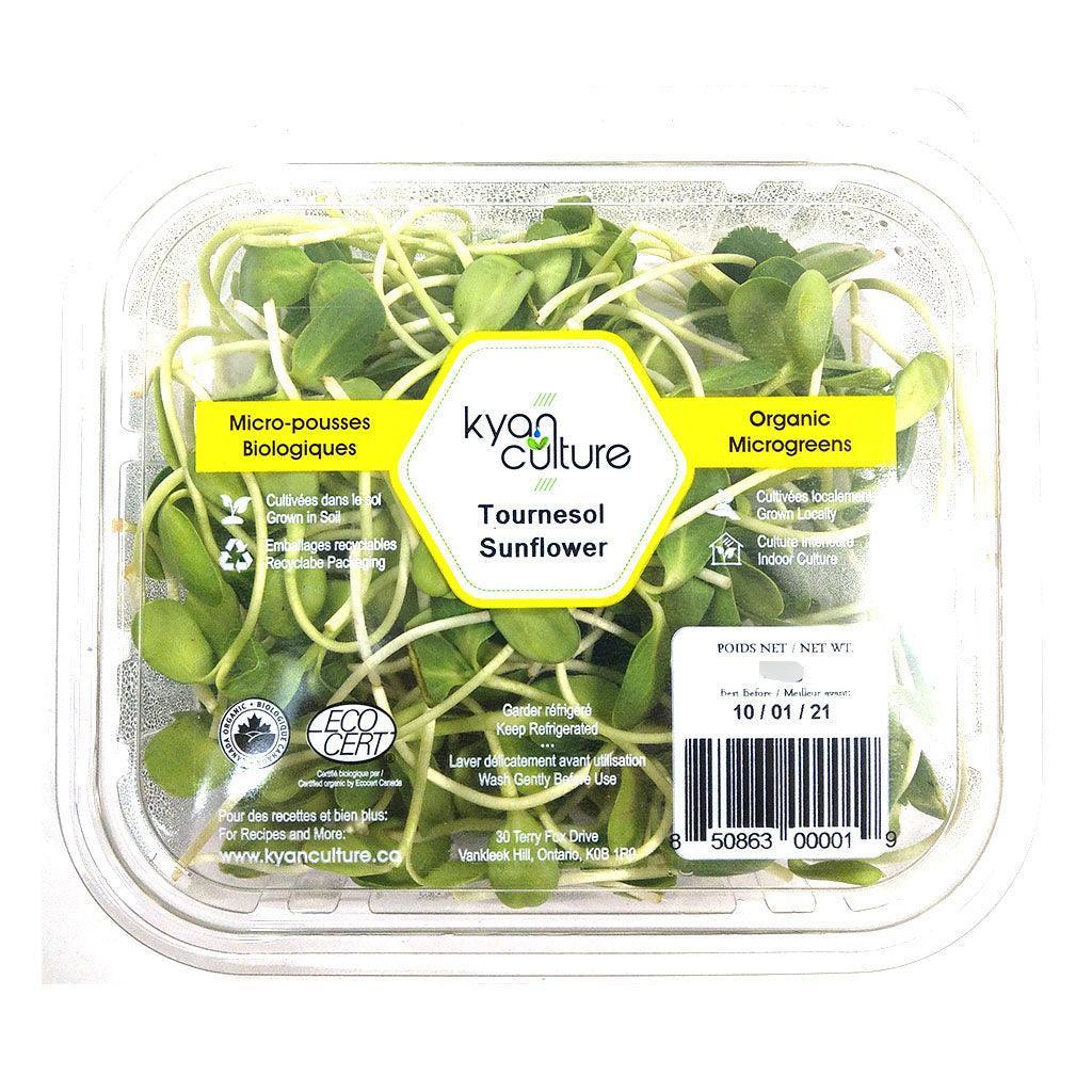 Sunflower Organic Microgreens Kyan Culture - La Boite à Grains