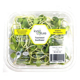 Sunflower Organic Microgreens Kyan Culture - La Boite à Grains
