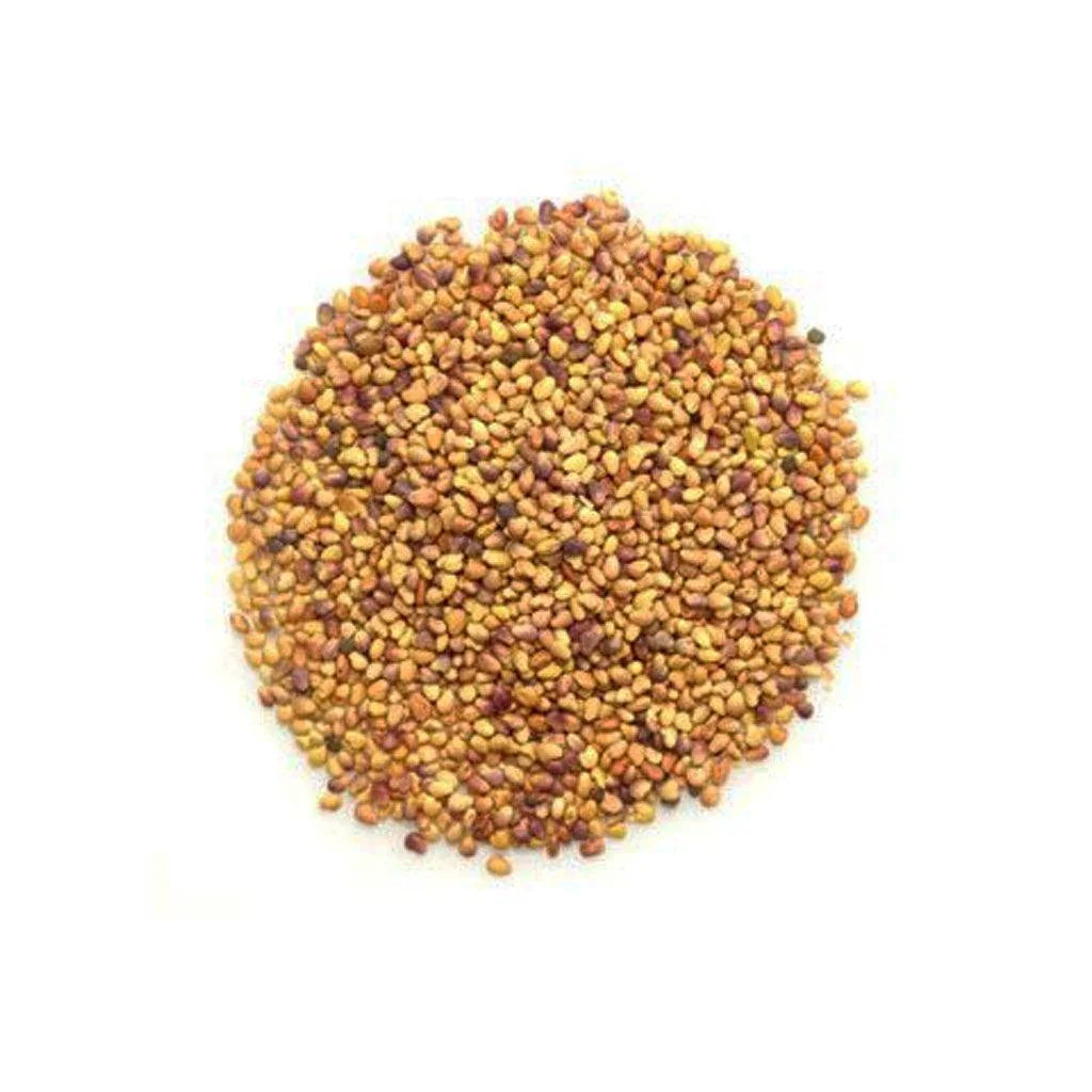 Red Clover to Sprout Organic (Bulk) La Boite à Grains Bulk - La Boite à Grains
