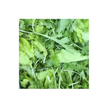 Organic Brassica Mix Greens (Seeds) Nordic Seeds - La Boite à Grains